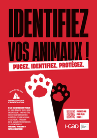 AFFICHE #2_SNI_A3