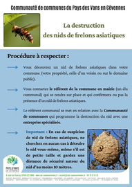 Lutte contre le frelon asiatique