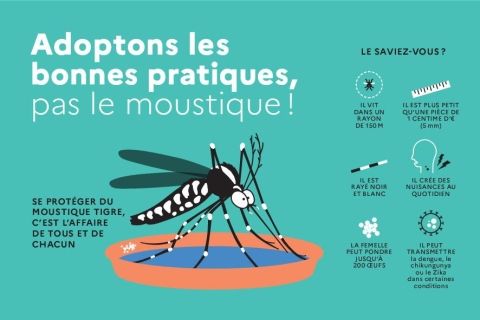 Arrêté Municipal prévention prolifération du moustique tigre