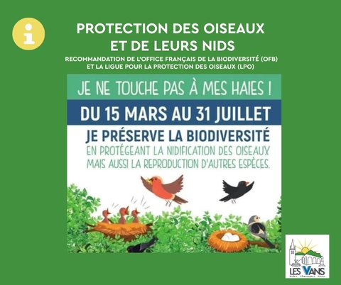 Recommandation taille haies et arbres